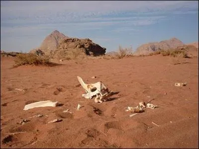 Voil ce que a fait quand on reste trop sous le soleil ! Vous saurez maintenant que le pays avec le plus de dsert est _______.