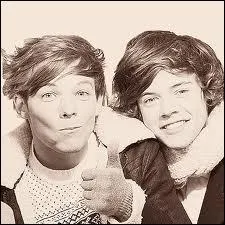  qui Louis et Harry font-ils souvent des blagues ?