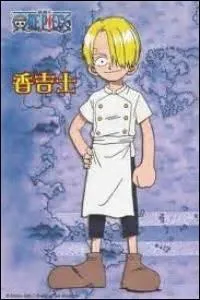 Qui est-elle et de quel manga ?