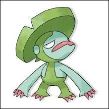 Lombre est de quel(s) type(s)?