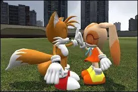 Comment s'appelle ce couple ?