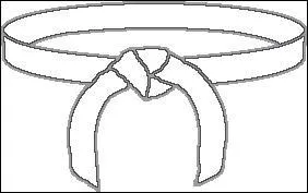 Quelle est la couleur de la deuxime ceinture de judo que l'on obtient ?