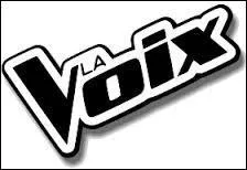 Comment s'appelle cette voix ?