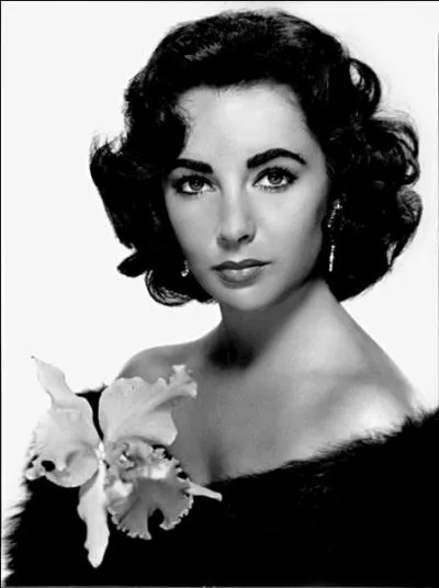 Dans sa vie, Elizabeth Taylor se sera marie 8 fois avec 7 hommes diffrents, Lequel d'entre eux n'a pas t son gendre ?