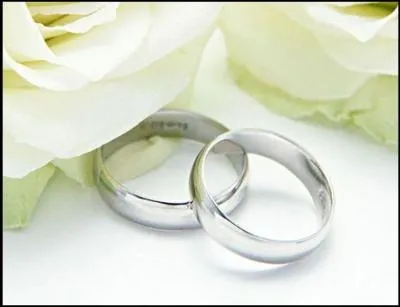 Quel fut le mariage le plus attendu de l'anne 2011 ?