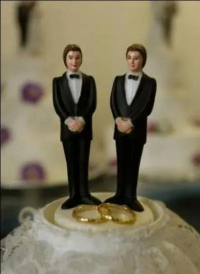 En 2013, on clbrait le  premier vrai mariage de stars gay , de qui s'agissait-il ?