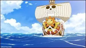 Quel est le Grand Corsaire qui a protg le Thousand Sunny ?