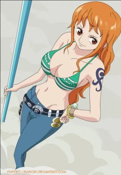 Quel est le rle de Nami dans l'quipage ?