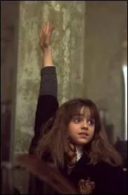 Qu'est-ce qu'un sang-de-bourbe ?