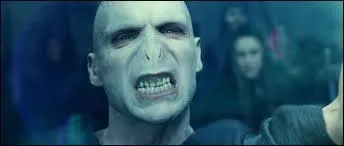 En combien de parties, Voldemort a-t-il divis son me ?