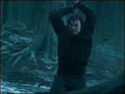 Comment vont-il dtruire le mdaillon ?