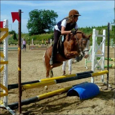 Quelle discipline est reprsente sur cette photographie ? (cette discipline consiste  enchaner un parcours d'obstacles avec la plus grande harmonie possible)