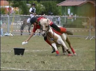 Quelle discipline est reprsente sur cette photographie ?