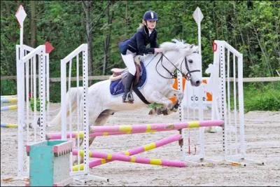 Quelle discipline est reprsente sur cette photographie ? (deux rponses  cocher)
