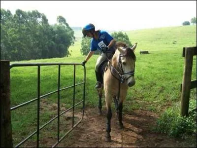 Quelle discipline est reprsente sur cette photographie ? (deux rponses  cocher)