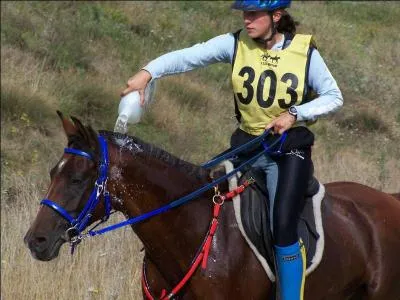 Quelle discipline est reprsente sur cette photographie ? (cette discipline est pratique individuellement ou en quipe et est caractrise par des preuves extrieures courues  vitesse impose ou libre sur un itinraire balis avec des examens vtrinaires validant la capacit du poney / cheval  parcourir de longues distances )