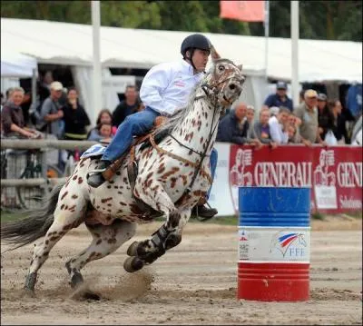Quelle discipline est reprsente sur cette photographie ? (deux rponses  cocher)