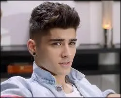 Que veut dire Zayn en franais ?