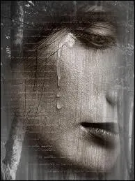 Qui chantait  Ne dis rien si tu veux, mais sche un peu tes yeux...   ?