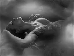 Qui chantait  Quand elle s'en va dans la douleur, avec ses cheveux dans les yeux, pour un rien qui prend de l'ampleur, qui prend de l'ampleur pour si peu...   ?