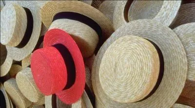 Vous dsirez un authentique chapeau de paille ? Rendez vous dans le dpartement du Tarn-et-Garonne o la  cit du chapeau  vous accueillera volontiers. Les  pailloles  tresses par les gardeuses de brebis des Causses ont servi,  l'origine,  la confection du clbre canotier. Dans quelle ville irez-vous ?