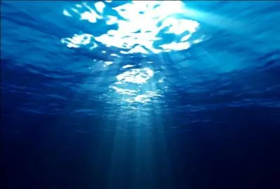 Vrai ou faux. Mme en vous rfugiant sous l'eau pour fuir les araignes, vous pourriez en rencontrer !