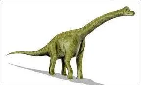 Et celui-l, quel est son nom ?