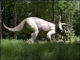 Le tricratops est :