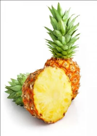 D'o l'ananas est-il originaire ?