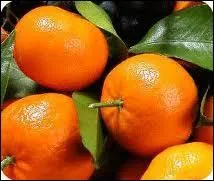 De quel fruit la clmentine est-elle le croisement ?