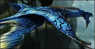 Comment s'appellent les oiseaux des Avatars ?