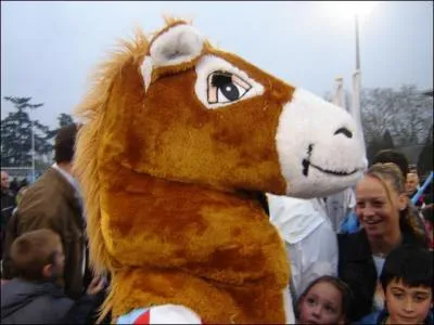 De quelle équipe Pottoka est-il la mascotte ?