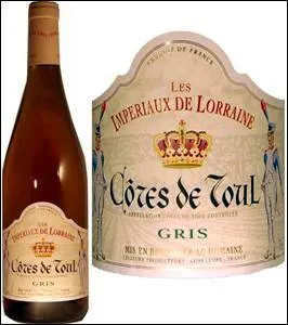 Eh ! nous avons le gosier sec ! Il faudrait penser  rempli les verres. Un verre de Ctes-de-Toul devrait vous plaire. O me suivrez-vous pour le boire ?