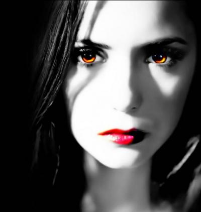 Comment s'appelle le chasseur de vampires qu'Elena a tué ?