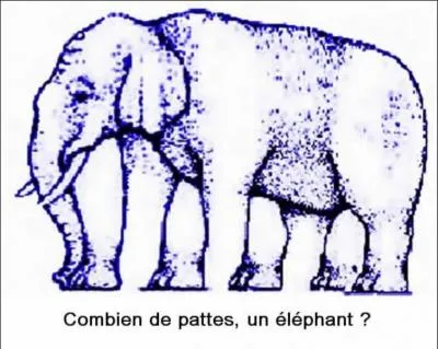 Combien y a-t-il de pattes ?