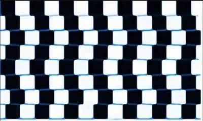 Les lignes sont parallles .