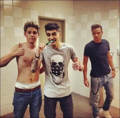 Comment s'appelle le frre de Niall ?