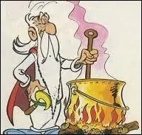 Comment s'appelle le druide du village ?