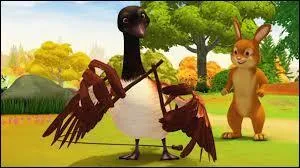 Comment se nomme l'oie ?