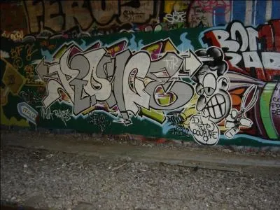 Quelle est la premire marque de peinture en spray entirement consacre au graffiti ?