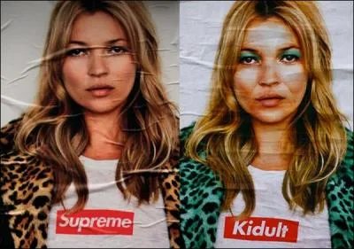 Que signifie  Kidult  ?