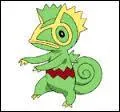 Comment s'appelle ce Pokmon ?