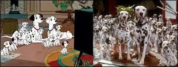 Combien y a-t-il de dalmatiens ?