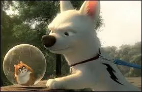 Comment s'appelle le chien ?