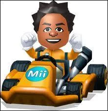 Quel est le poids d'un mii ?
