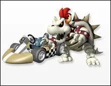 Comment avons-nous Bowser Squelette ?