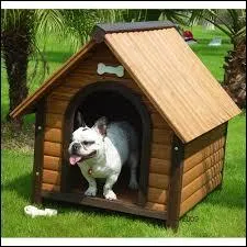 Que sont les mots  niche  et  chien  ?