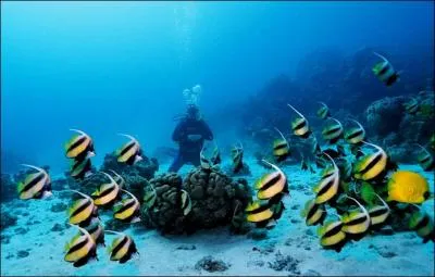 Quel est le pays qui n'a pas de cte sur la mer Rouge