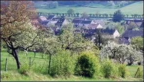 Je me promne dans ce verger au milieu des cerisiers, dans la commune de ... Cerisiers. Je me trouve en Bourgogne, dans le dpartement n ...