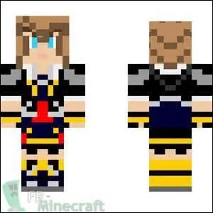 A qui est ce skin ?